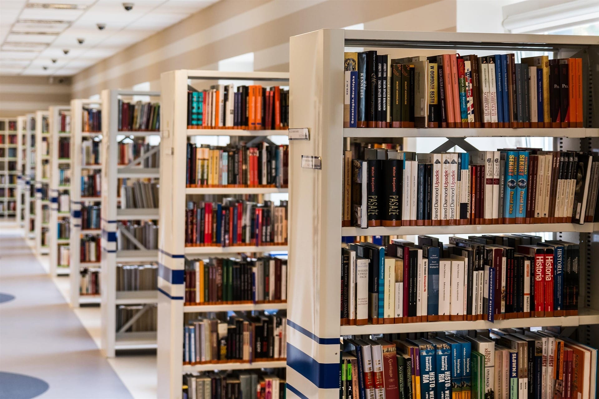 biblioteka regały z książkami